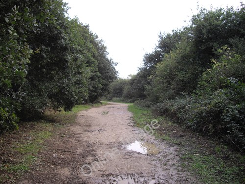 Photo 6x4 footpath friday - in,