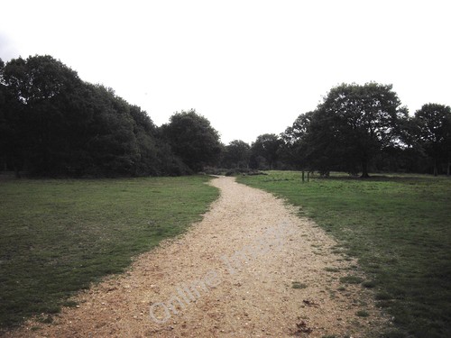 Photo 12x8 footpath friday - in,
